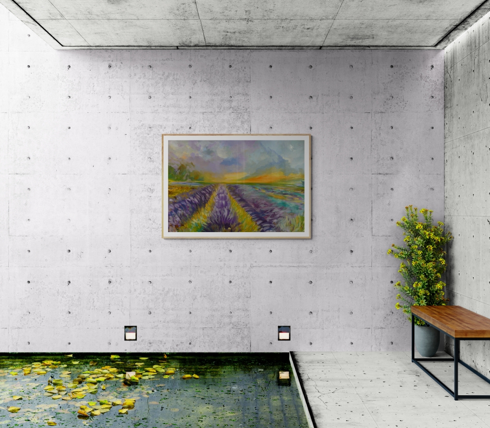 Lavender Fields 2025 