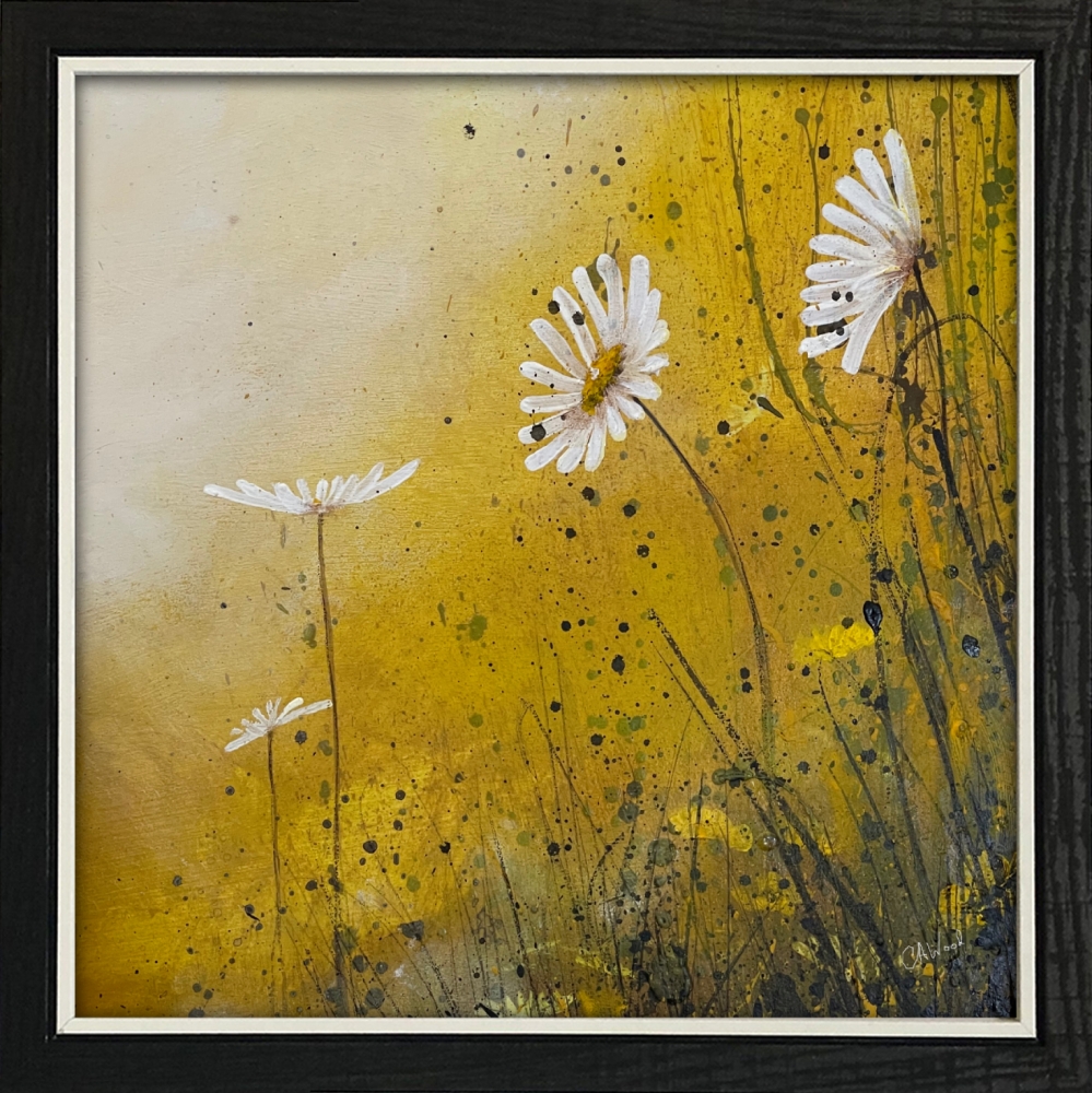 Daisy flowers - misty yellow