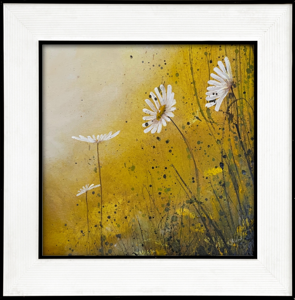 Daisy flowers - misty yellow