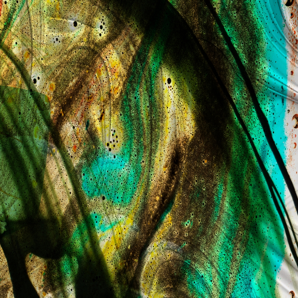 Field Of Life - Diptych