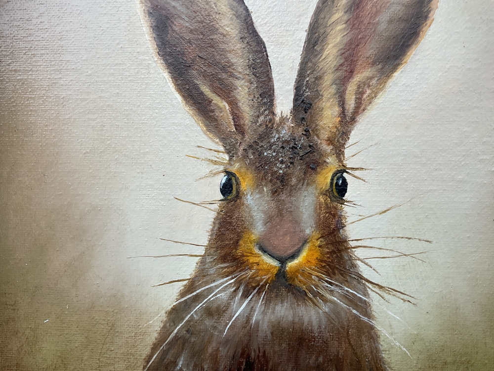 Portrait of Hare