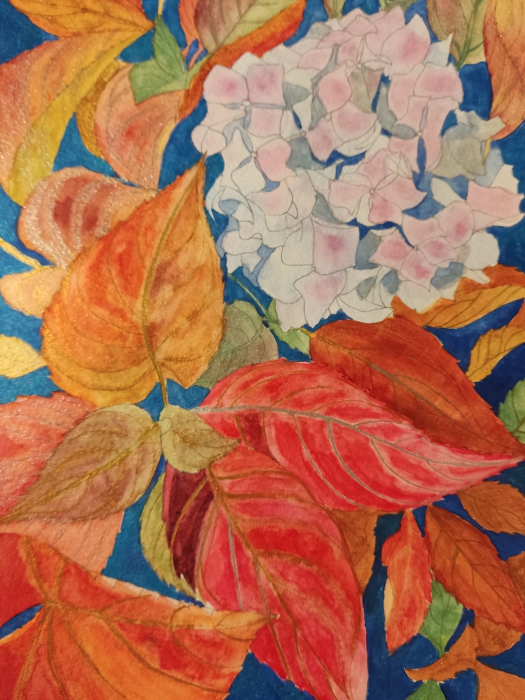 Pink autumn hydrangea 