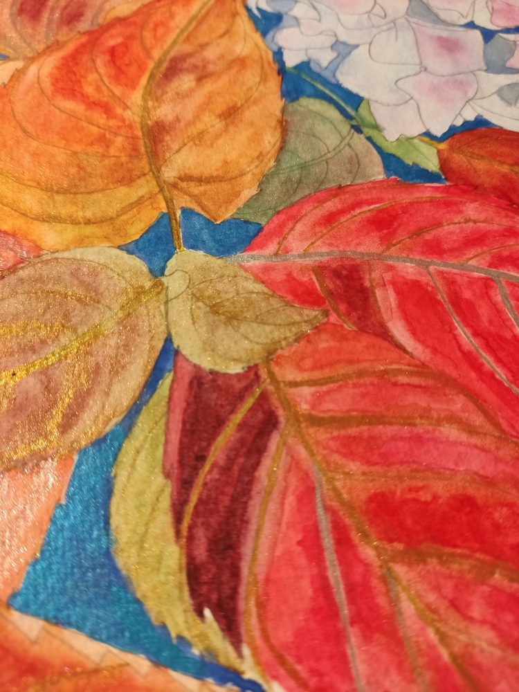 Pink autumn hydrangea 