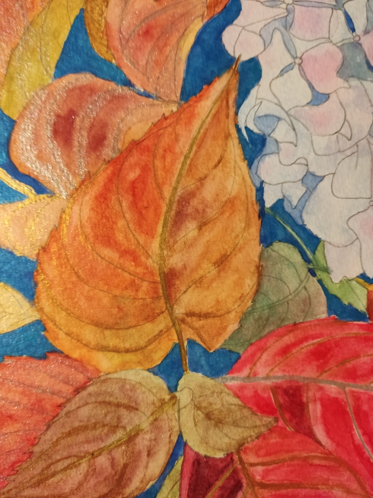 Pink autumn hydrangea 