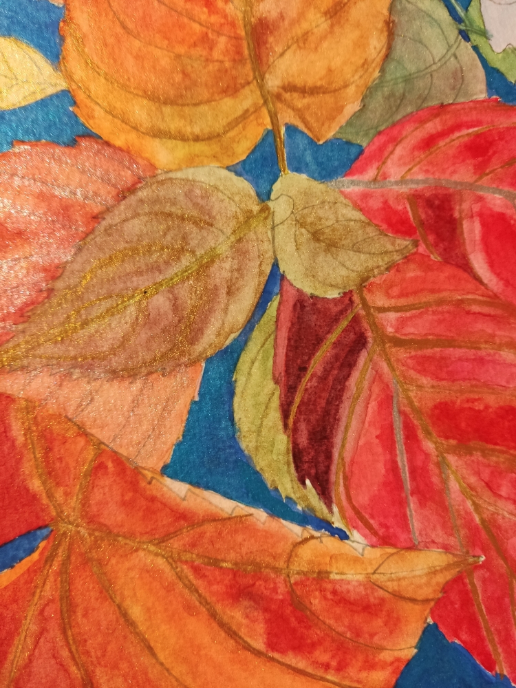 Pink autumn hydrangea 