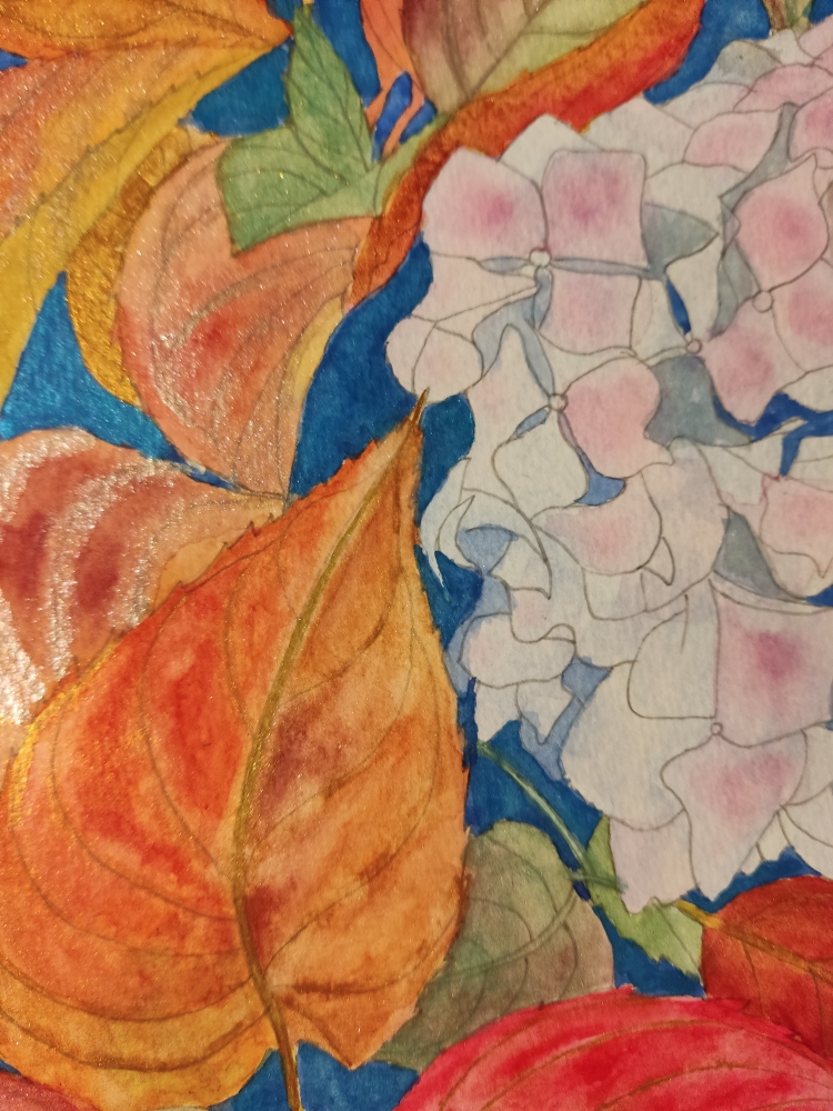 Pink autumn hydrangea 