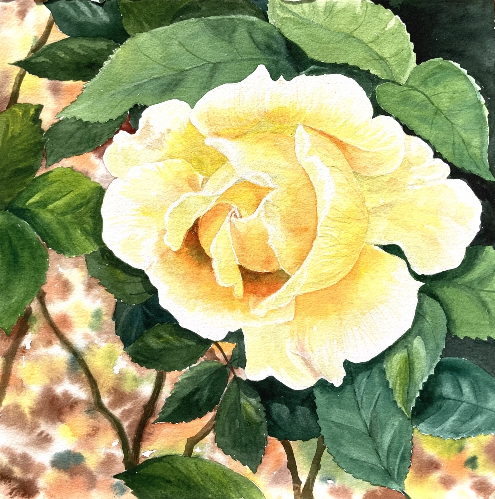 YELLOW ROSE 