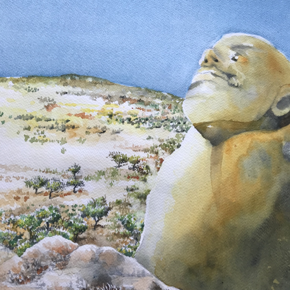 ROCK FACE IN THE SUN