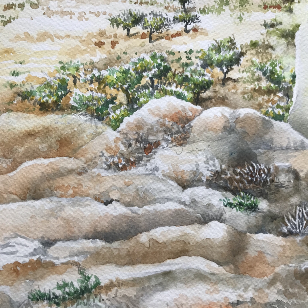 ROCK FACE IN THE SUN