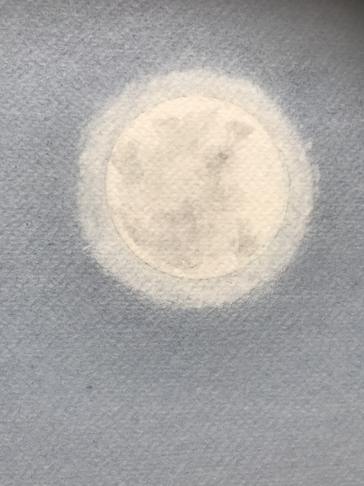 CALM...WICKED WOOSTER COUNTY, NEW MEXICO