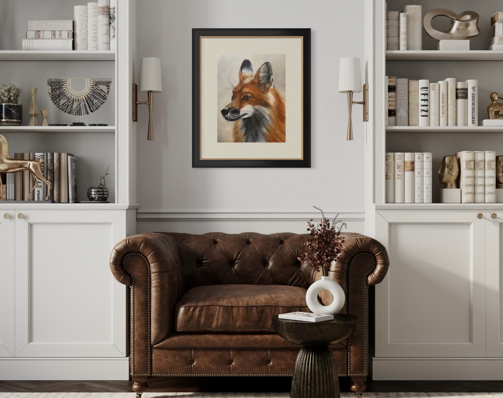 American Red Fox Portrait