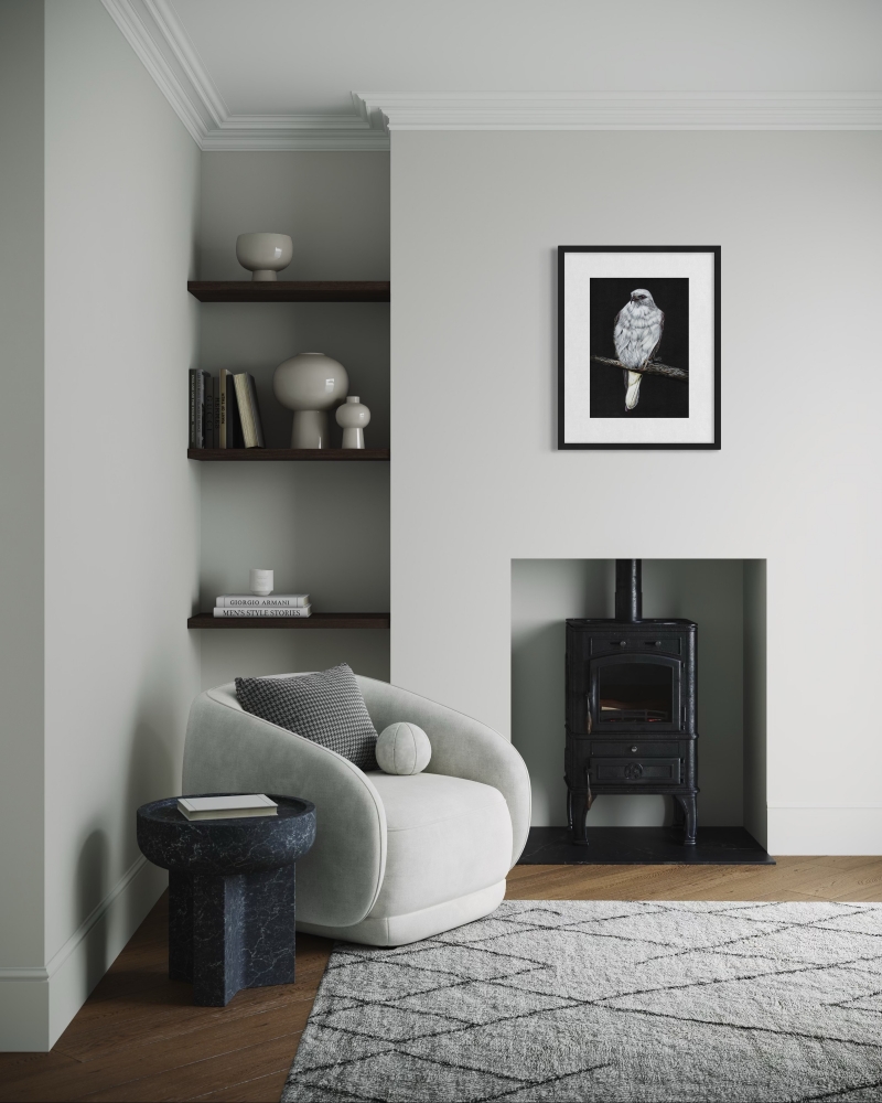 Black Shouldered Kite