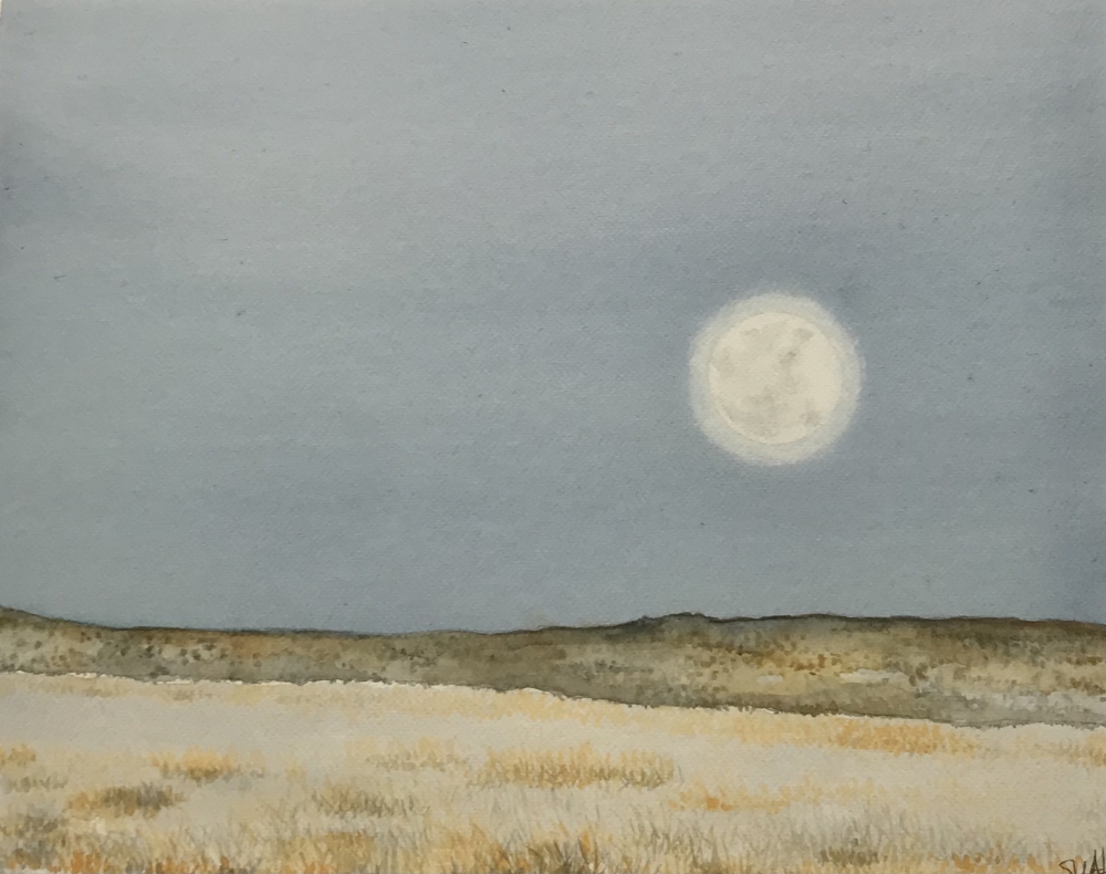 CALM...WICKED WOOSTER COUNTY, NEW MEXICO