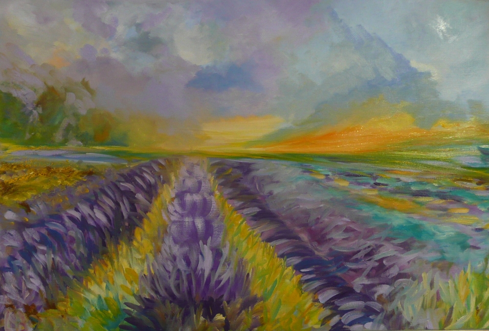 Lavender Fields 2025 