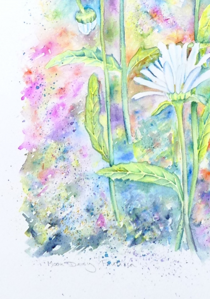 Moon Daisy Fantasia