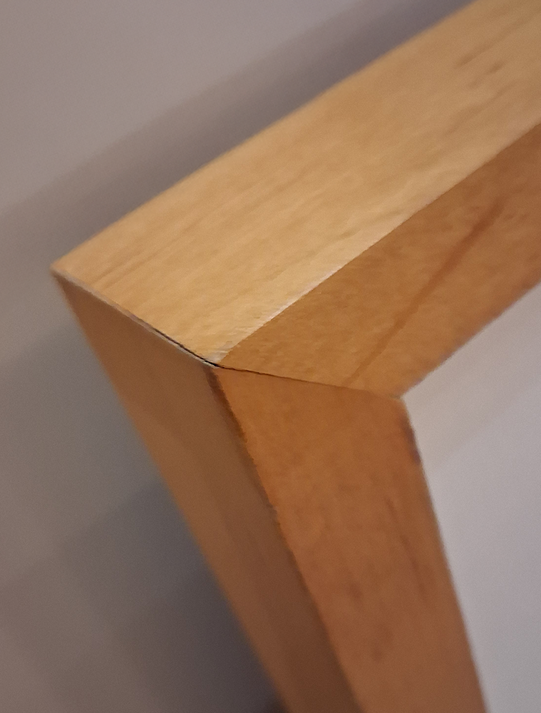 My Backyard (landscape)