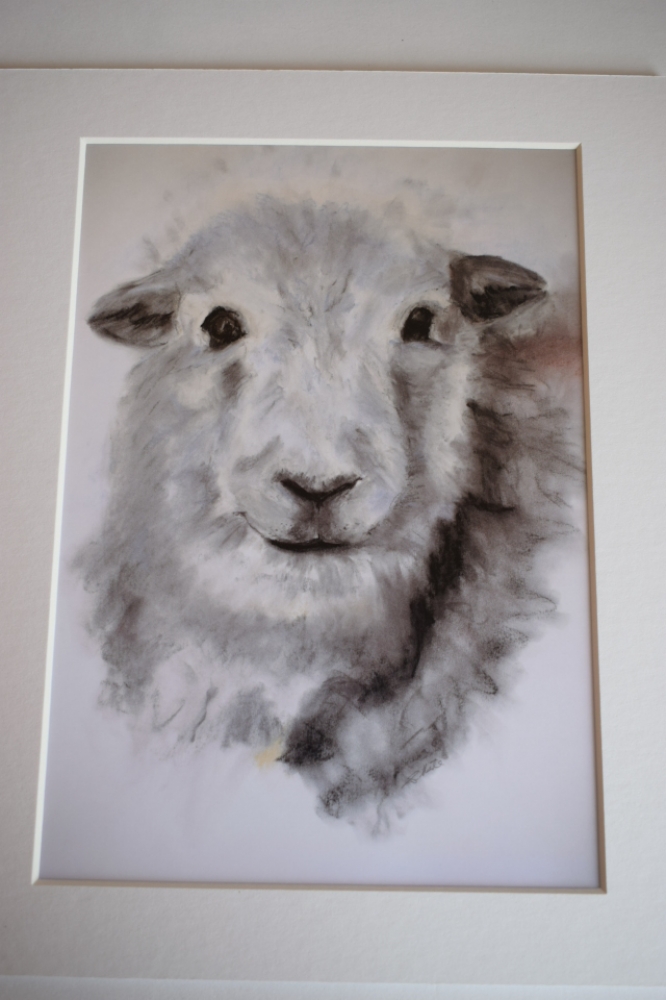 Herdwick sheep 'Herdy'