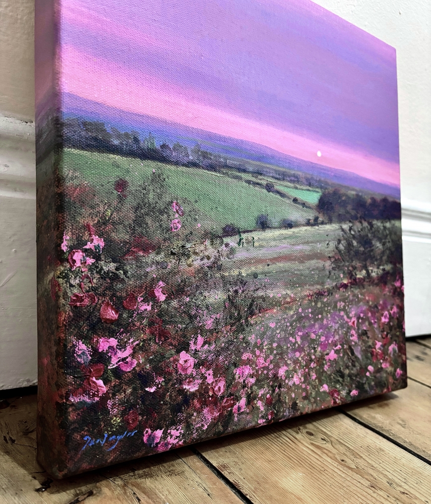 As Dusk Descends, Northumberland