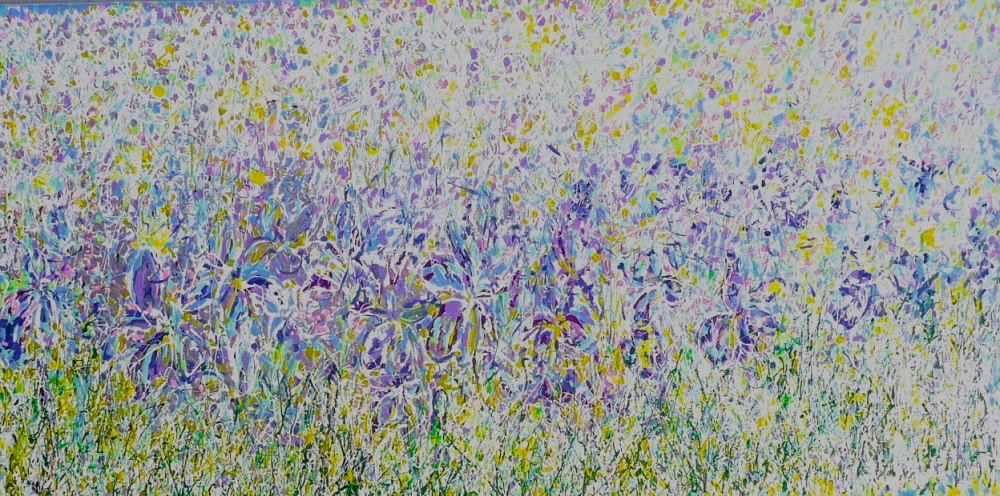 Wild Iris Meadow