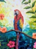 Colourful Parrot