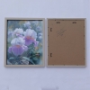 Irises B103 - diptych - framed canvases