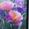 Peonies B104 - diptych - framed canvases