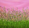 Blushing Confetti Meadows #7