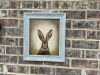 Portrait of Hare
