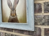 Portrait of Hare