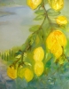 Santa Caterina Lemons