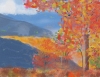 Tree Valley