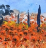 Red poppies in Provence 