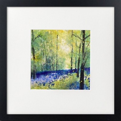Bluebell Woodland