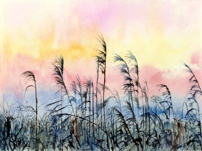 Fen Sunrise