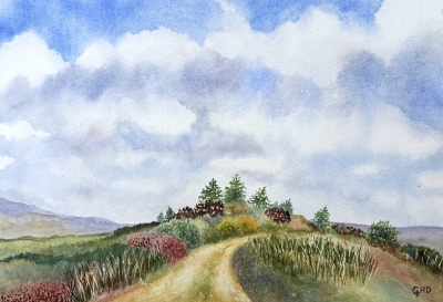 THE COPSE 
