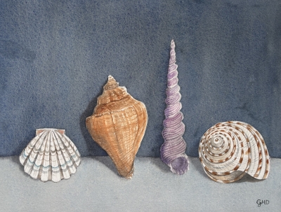 ON THE SHELLF