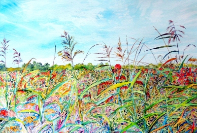 Summer Fen Fields