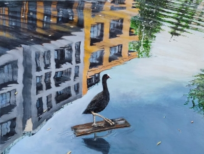 Surfin' Bird