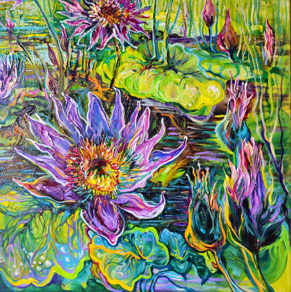 Water Lily Blossoms