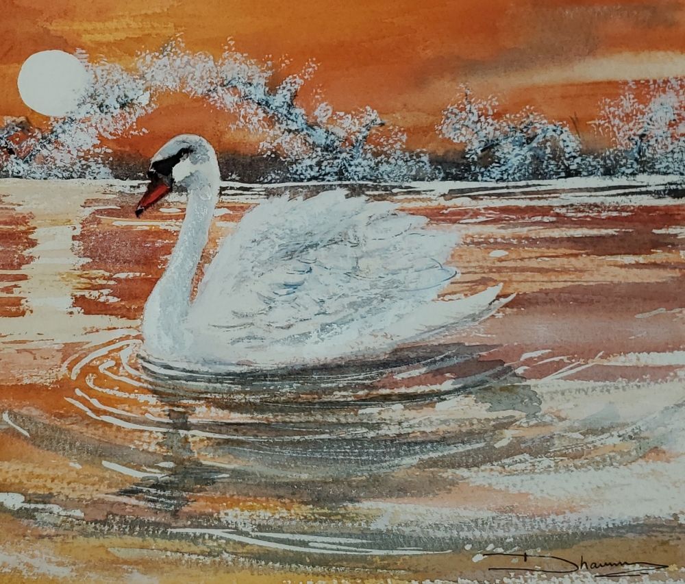 Sunset Swan