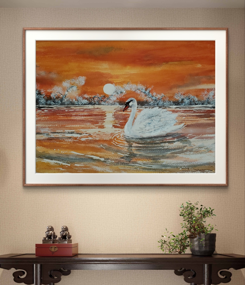 Sunset Swan