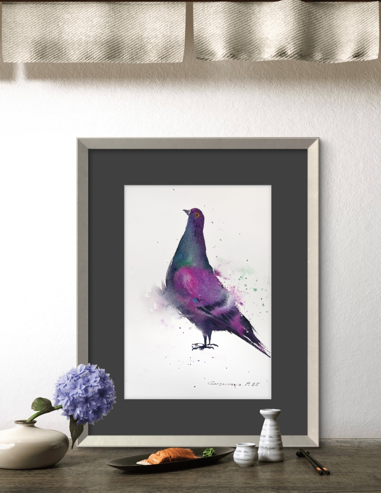 The Vibrant Pigeon