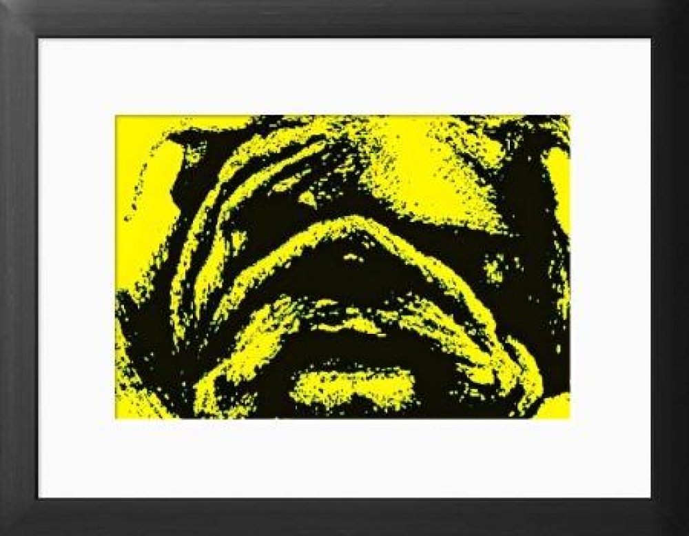 Framed print of a British bull dog biro pen sketch 