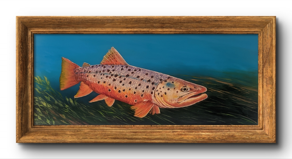 golden trout