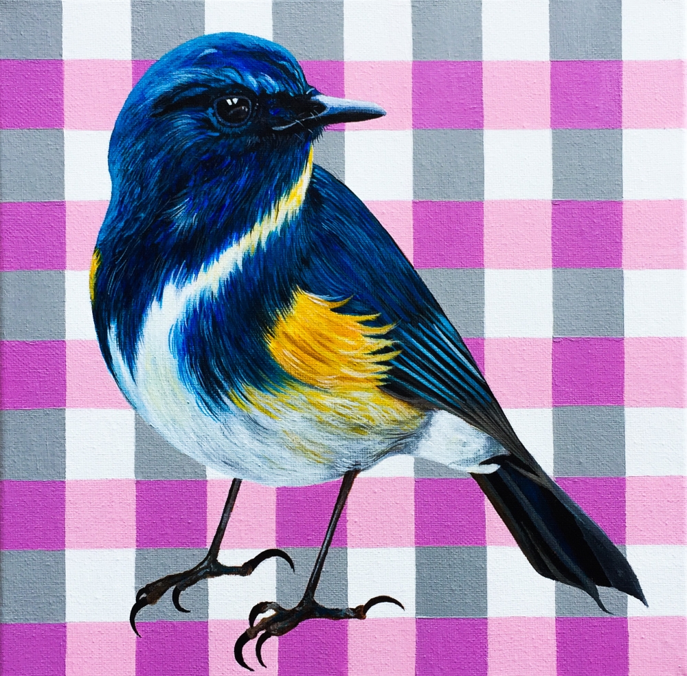 Checkered Charm: The Sapphire Songbird