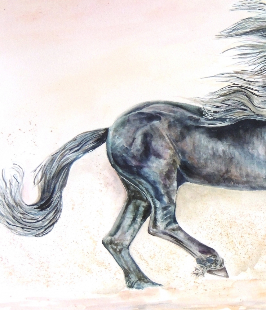 Fine Black Horse