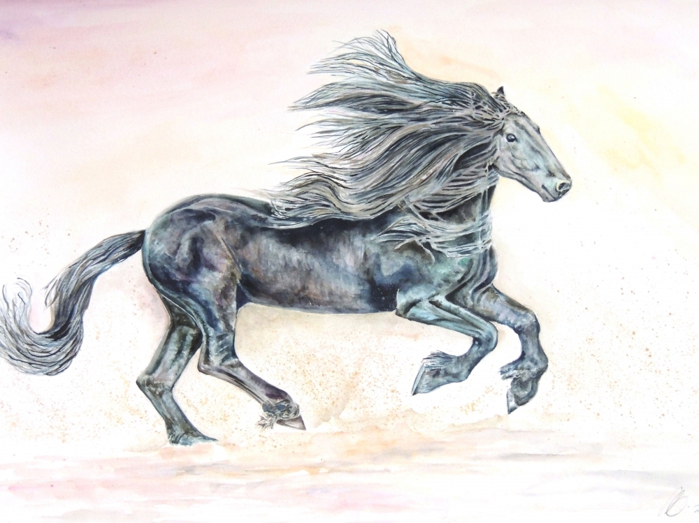 Fine Black Horse