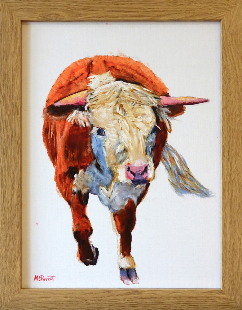 Hereford Bullock 1