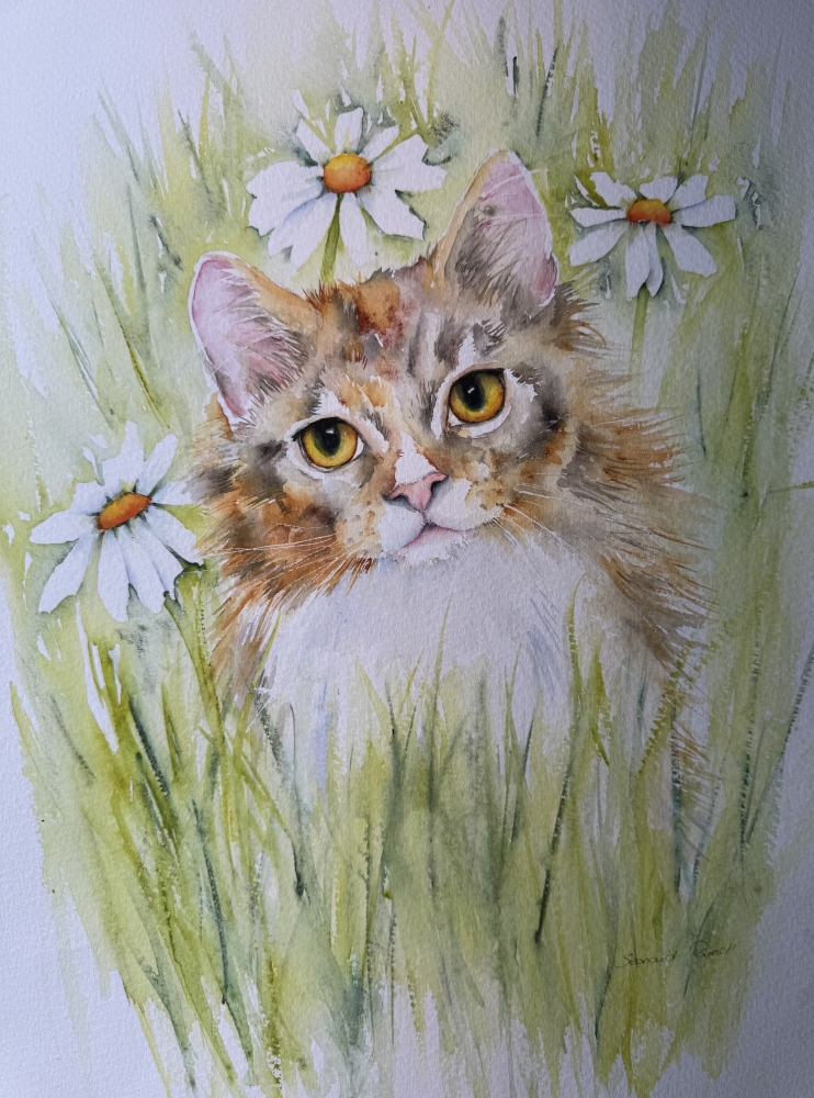 Daisy Cat