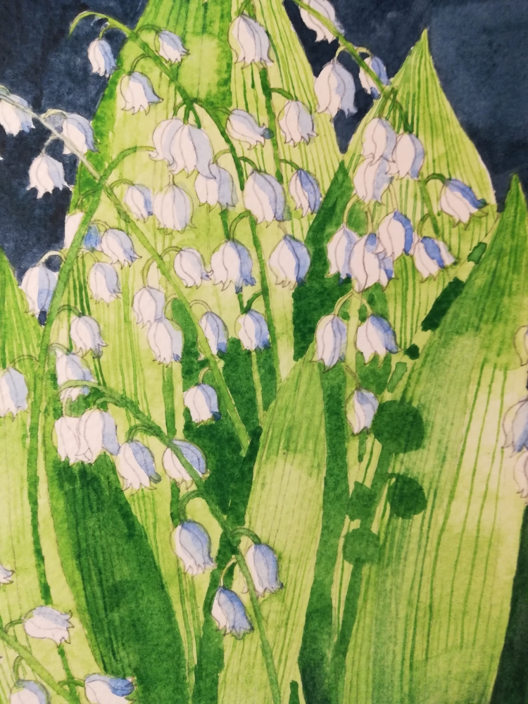 Lily of the valley in watercolour 